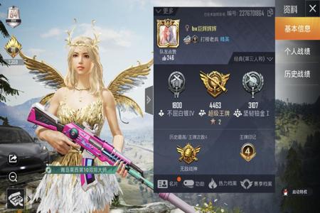 和平精英ios战神辅助(和平精英苹果ios辅助) 和平精英ios战神辅助(和平精英苹果ios辅助)